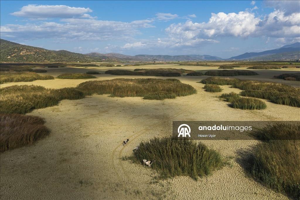 Kuraklığın etkisi artıyor! En büyük tatlı su gölü için alarm verildi: Su seviyesi düştü, balıklar telef oldu 5